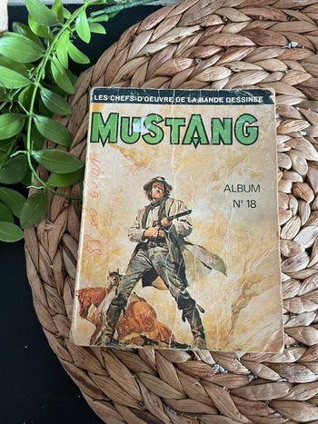 BD - Mustang