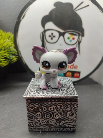 Lps01270 My Littlest Petshop Pet Shop LPS chien Papillon Chihuahua 1138