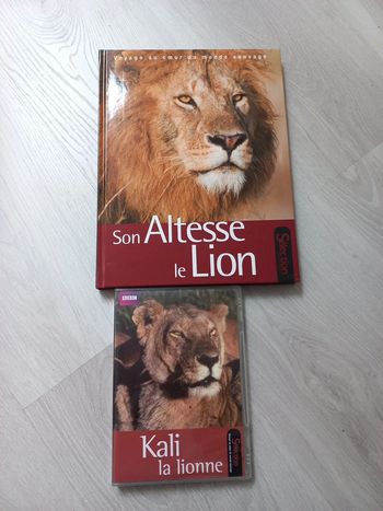 Ensemble coffret livre et dvd neufs sur le lion