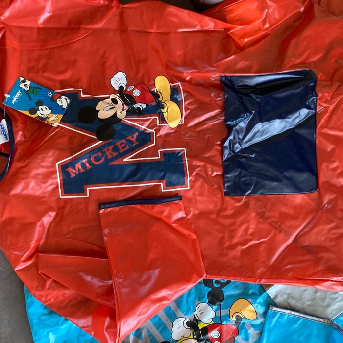 Cape Mickey - photo numéro 3
