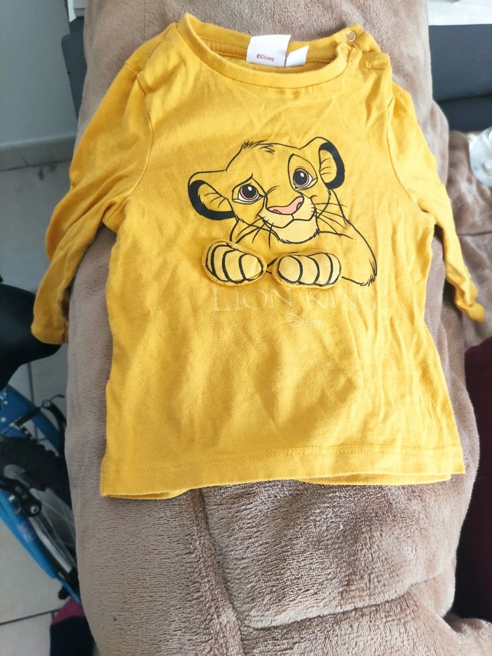 Le roi lion