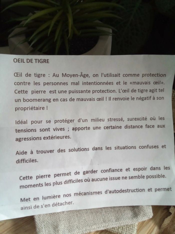 Boucles d'oreilles bohèmes pierres oeil de tigre - photo numéro 2