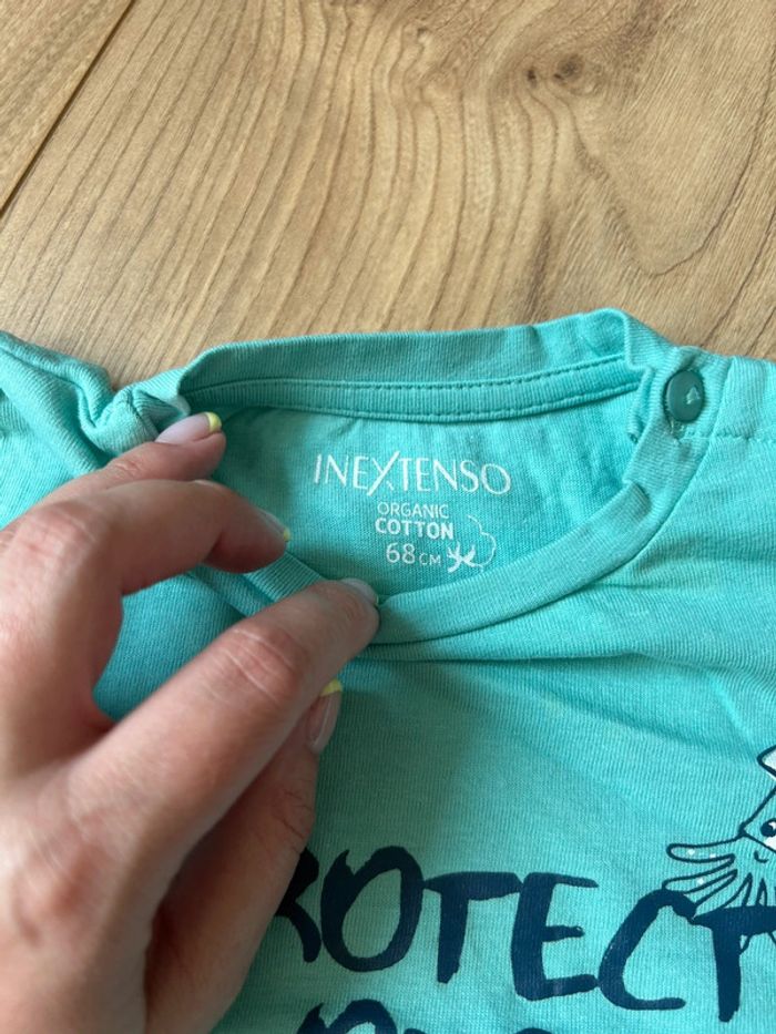 Tee-shirts 6 mois - photo numéro 5