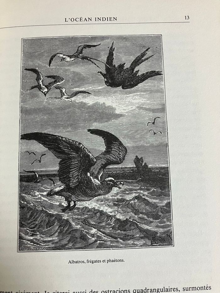 Livre broché-Collection ESSO-Jules Verne-Vingt mille lieues sous les mers-Tome 2 - photo numéro 2