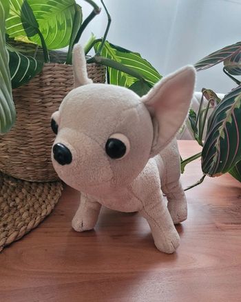 Peluche