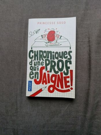 Chroniques d’une prof qui en saigne