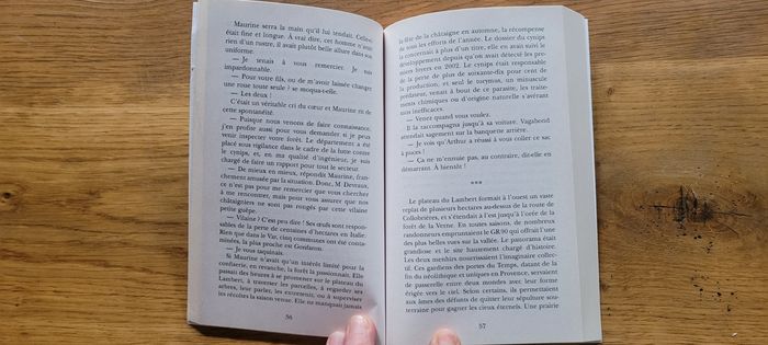 L'enfant des Maures - photo numéro 5