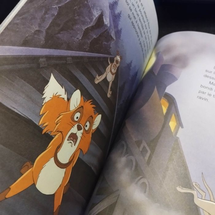 Livre enfant Disney Club du livre Rox et Rouky - photo numéro 3