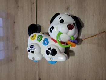 Chien dalmatien