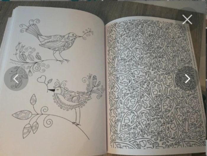 Livre de coloriage relax art neuf - photo numéro 5