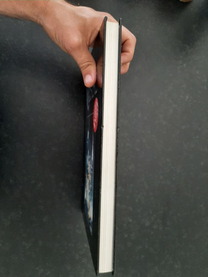 BD intégrale L'épée de cristal - Goupil, Crisse - EO - photo numéro 5