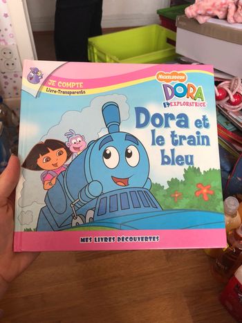 Livre Dora et le train bleu.