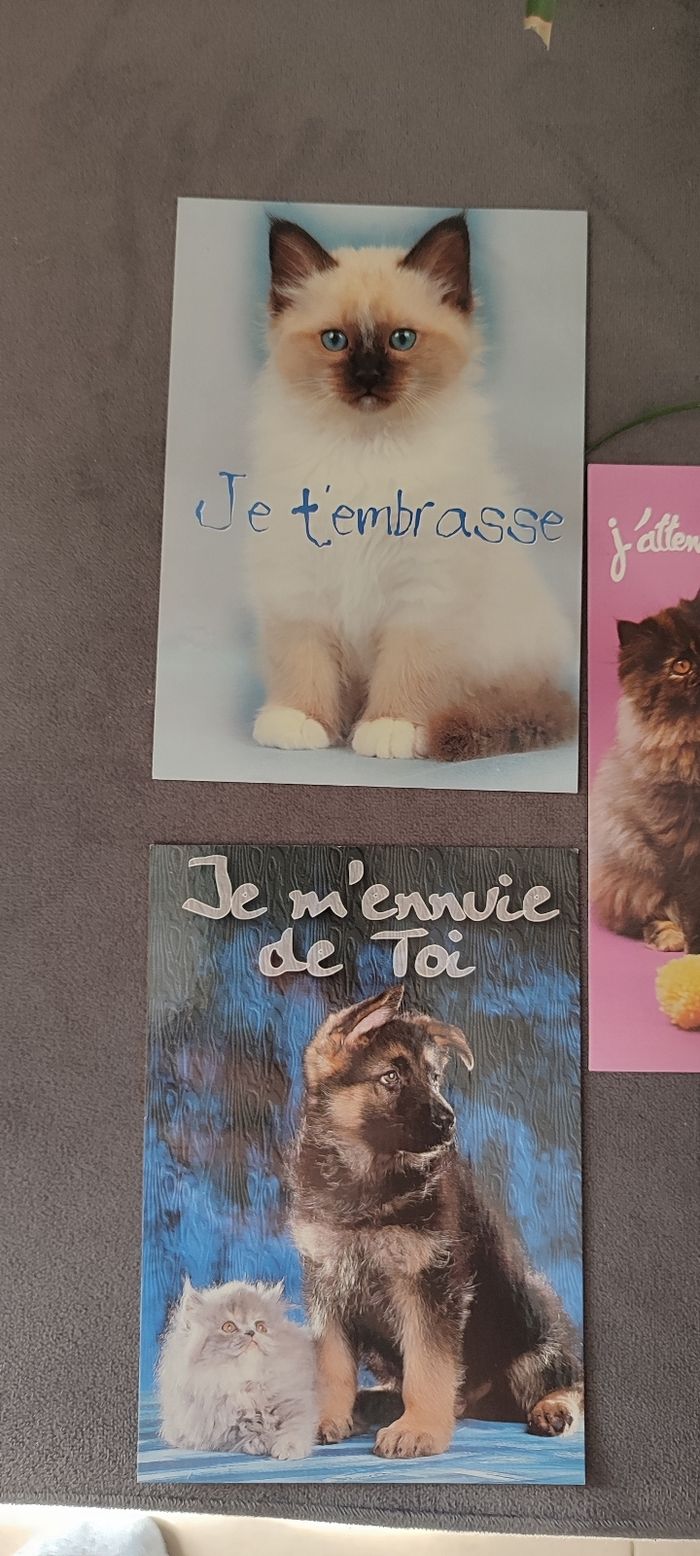 Lot de 5 cartes postales animaux - photo numéro 2