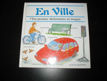 LIVRE MON PREMIER DICTIONNAIRE EN IMAGES "IMAGE ET PAGE" - n°13