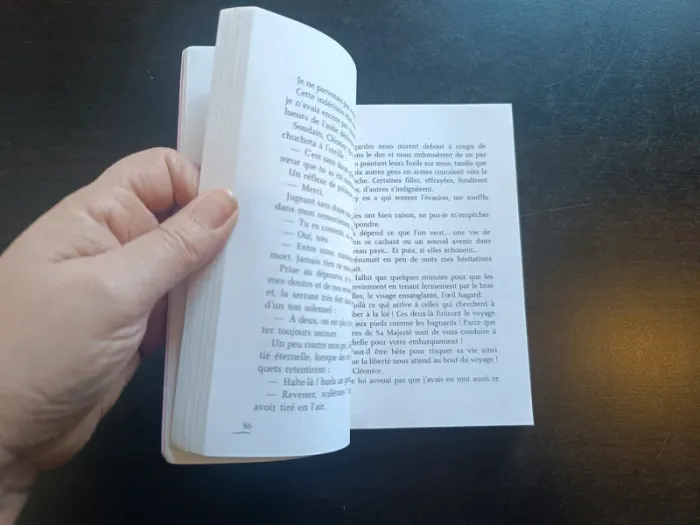 Livre LES COLOMBES DU ROI SOLEIL - N°8 - photo numéro 6