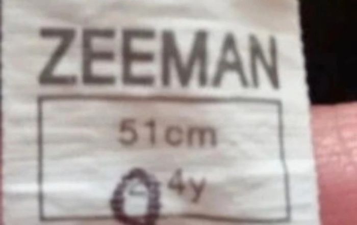 Bob palmier - photo numéro 3