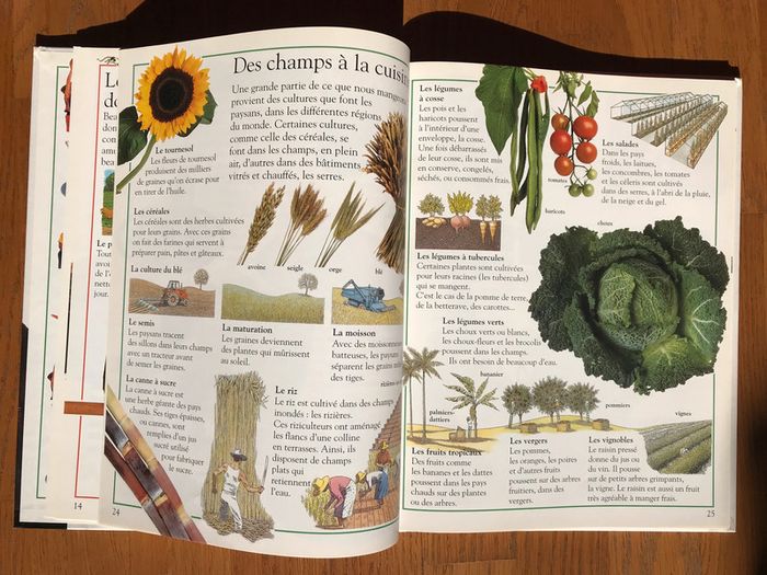 Ma première encyclopédie - Nathan - photo numéro 2