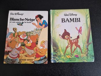Lot de 2 livres anciens Disney