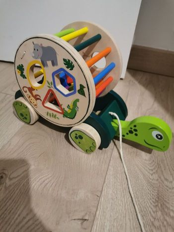 Tortue à tirer