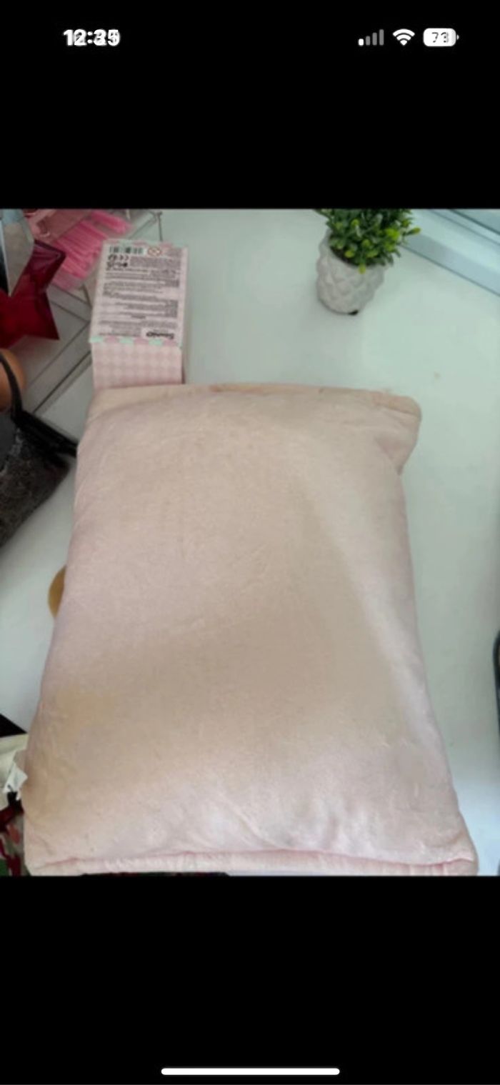 Coussin peluche Miniso - photo numéro 4