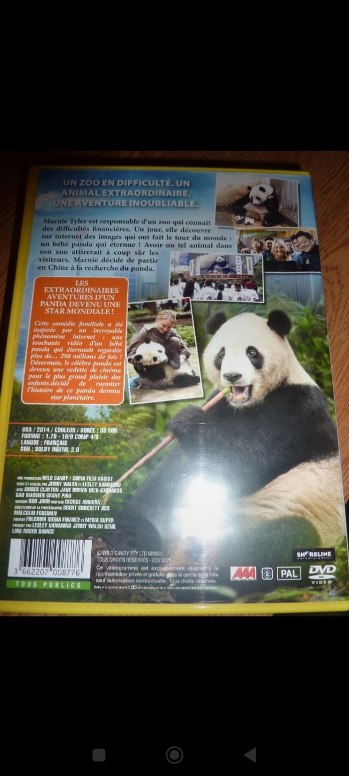 Lot de 2 Dvds Baby Panda  et King of the lost World + un CD - photo numéro 5