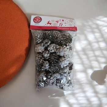 Décoration pommes de pin – effet givré