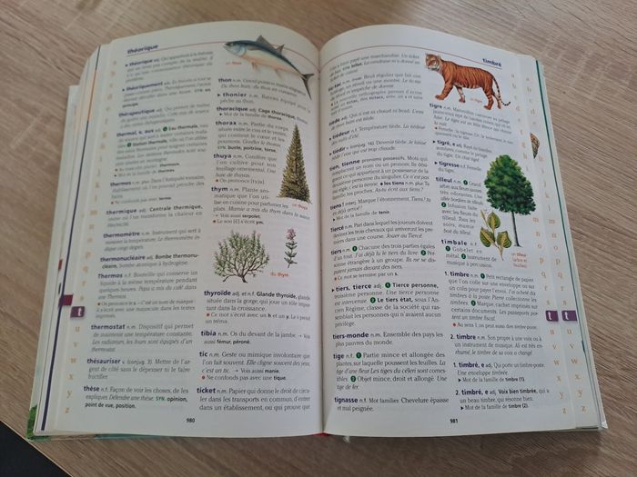 Dictionnaire Junior - photo numéro 2