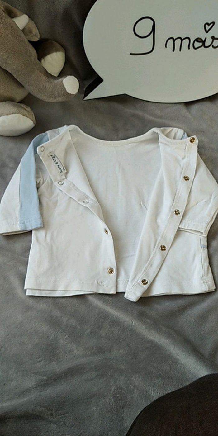 Tee shirt manches longues doublé Garçon 9 mois Sucre d'orge "Le petit safari" 100% coton - photo numéro 11