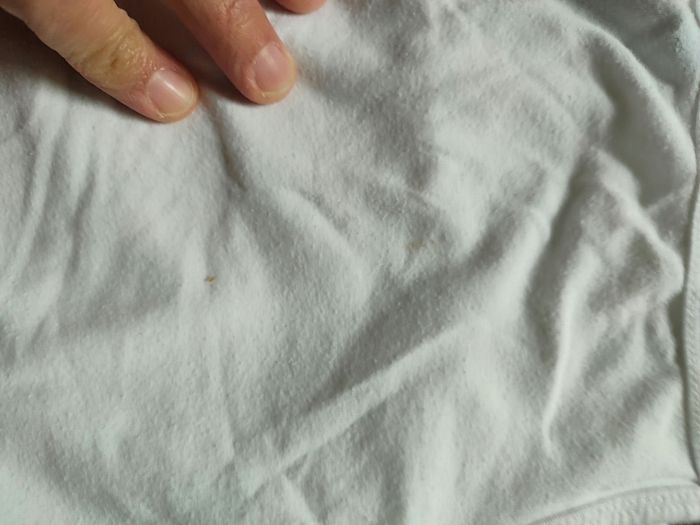 Lot de 3 maillots de corps 6 ans - photo numéro 5