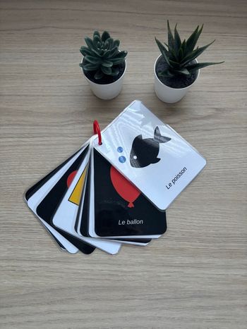 Cartes contrastées noir, blanc, jaune, rouge et bleu