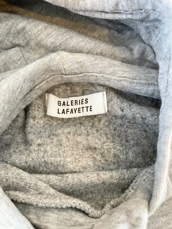 Sweat capuche gris - photo numéro 4