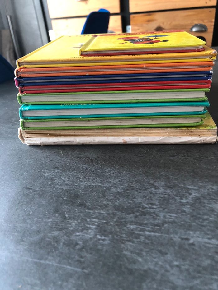 Livres petits bêtes - photo numéro 19