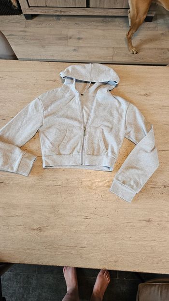 Gilet court à capuche, gris clair, peu mis, XS