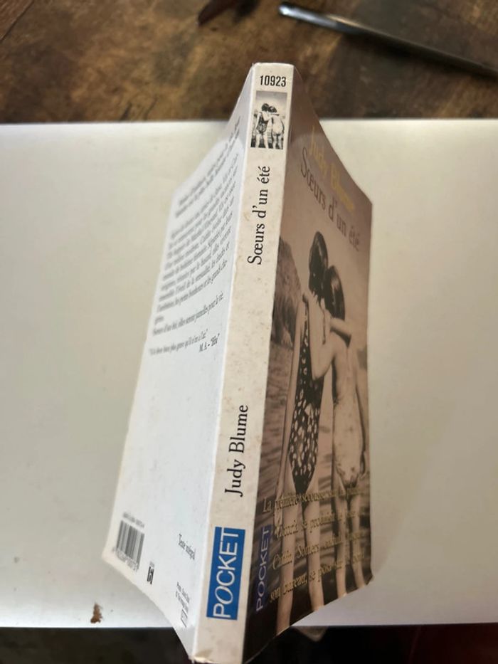 Sœur d’un été - photo numéro 3