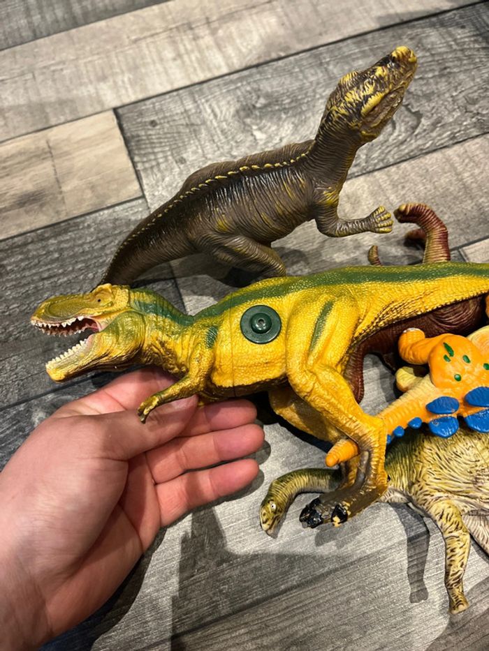 Dinosaures en bon état - photo numéro 11