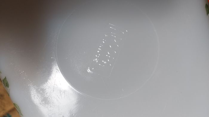 Plat en arcopal - photo numéro 9