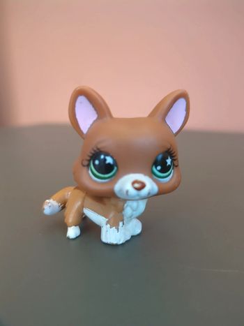 littlest petshop chien