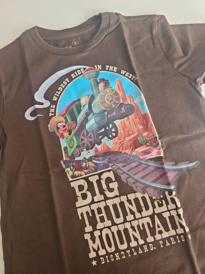 T-shirt attraction Disneyland Paris - photo numéro 3
