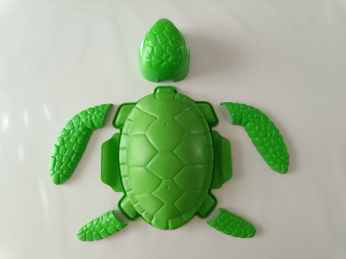 Moule de plage 🐢 - photo numéro 3