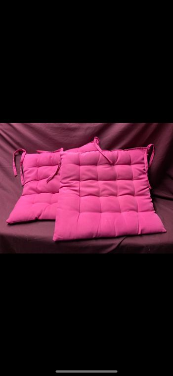 2 coussins de chaise rose