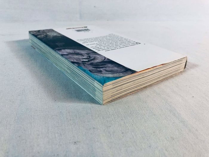 Naruto Shippuden - Le Film : Les Liens Manga FR Bon état - photo numéro 4