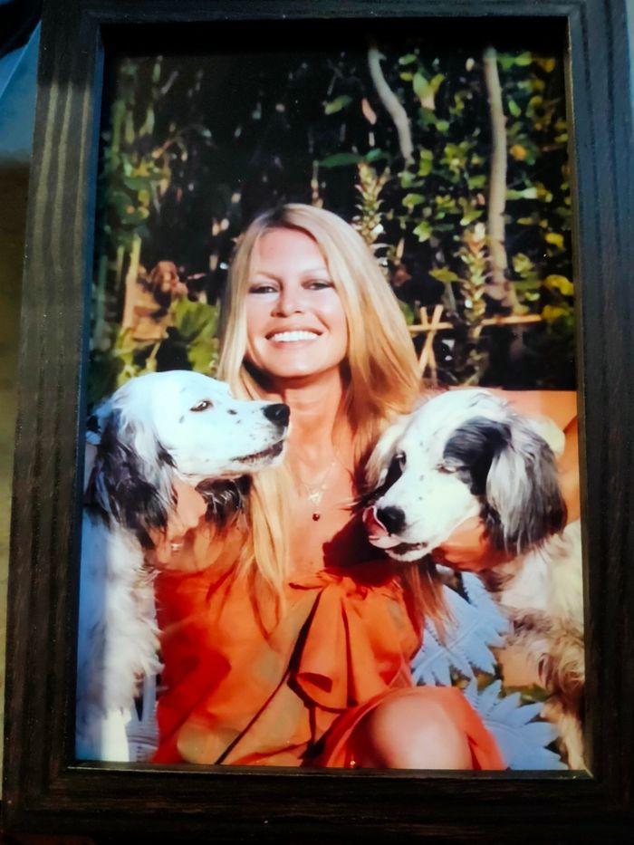 Cadre photo Brigitte bardot