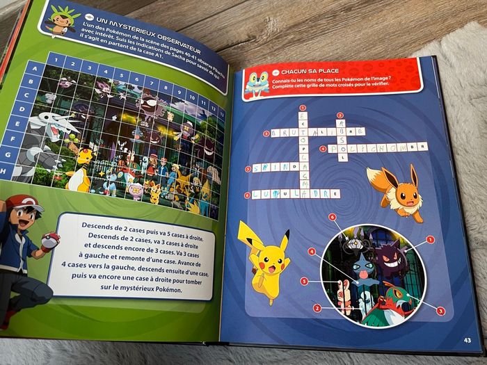 Livre Pokémon - photo numéro 6