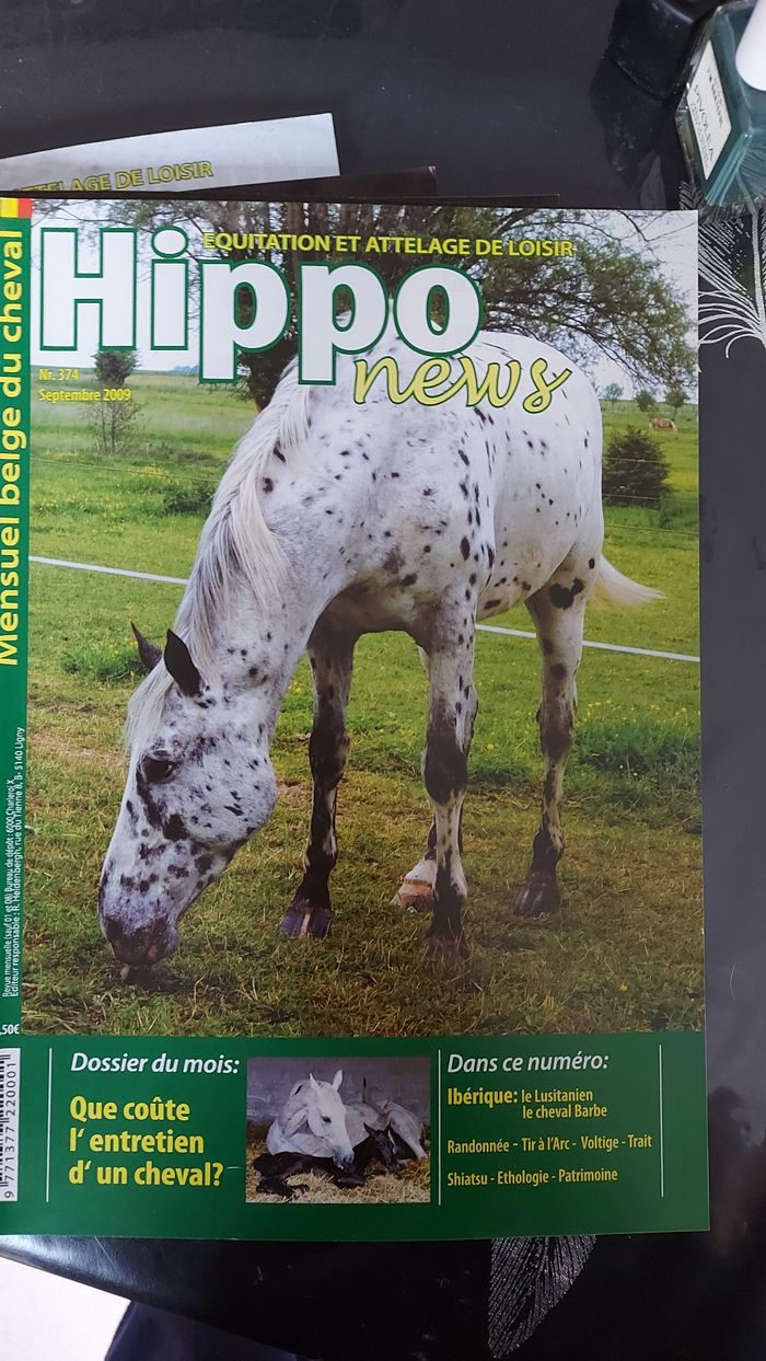 Lot Hippo News - photo numéro 8