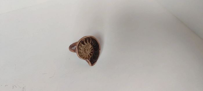 Bague montée d'une ammonite - photo numéro 4