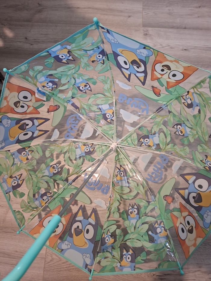 Para bluey - photo numéro 3