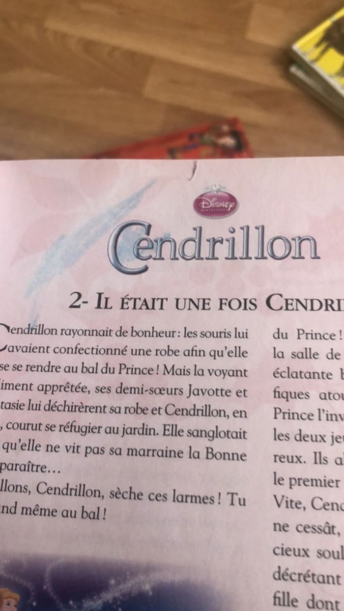 Livre - photo numéro 4