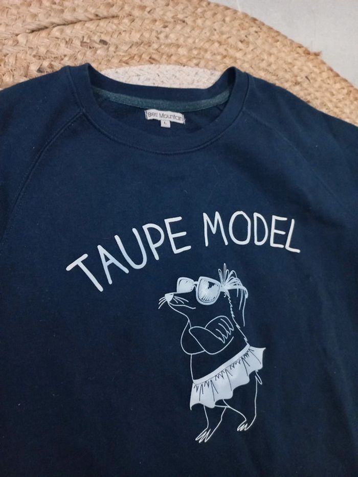 Sweat taupe model Best Mountain taille L - photo numéro 2