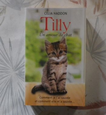 Tilly un amour de chat de Celia Haddon Ed. France Loisirs