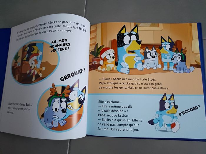 Lot de livres de Noël : Bluey, Pat' Patrouille Paw Patrol, Monsieur Loup,  La Petite fille - photo numéro 3